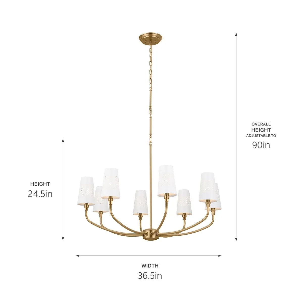 Adeena 37 in. 8 Lights Chandelier Brushed Brass finish