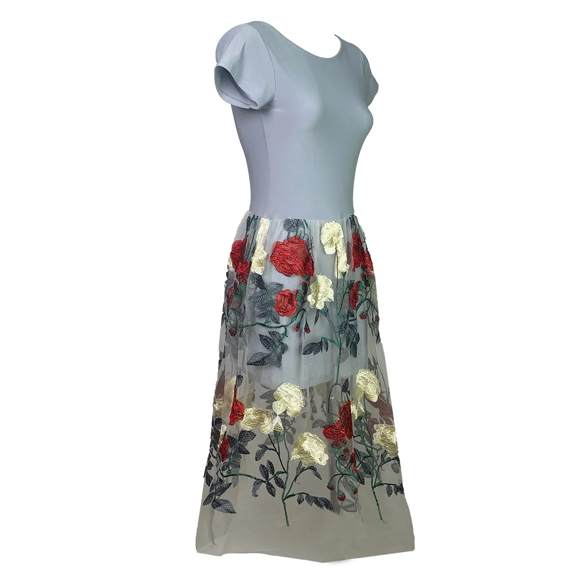 Just Got Lucky Ribbon Back Dress with Tulle Embroider Roses Tulle