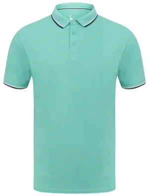Rocky Bay Classic Cotton Pique Polo Shirt with Tipping In Mint - South Shore